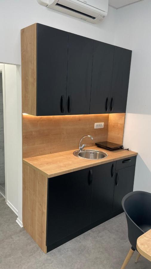 Simba Apartment B Šmarješke Toplice Eksteriør billede